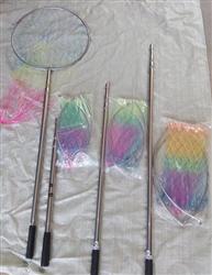 从“福来翔鸽具”到“球拍” 宠物用品生产厂的多元化创新之路